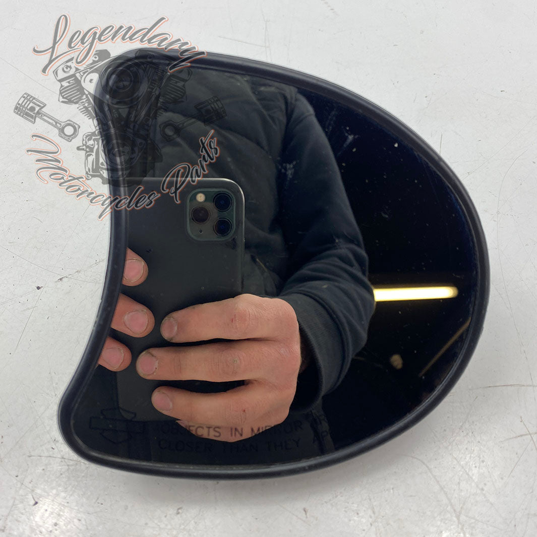 Rétroviseur de fairing OEM 56000012